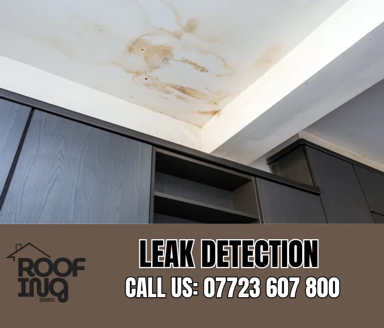 Roof Leak Detection in St Agnes