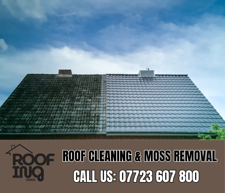 Roof Cleaning in St Agnes